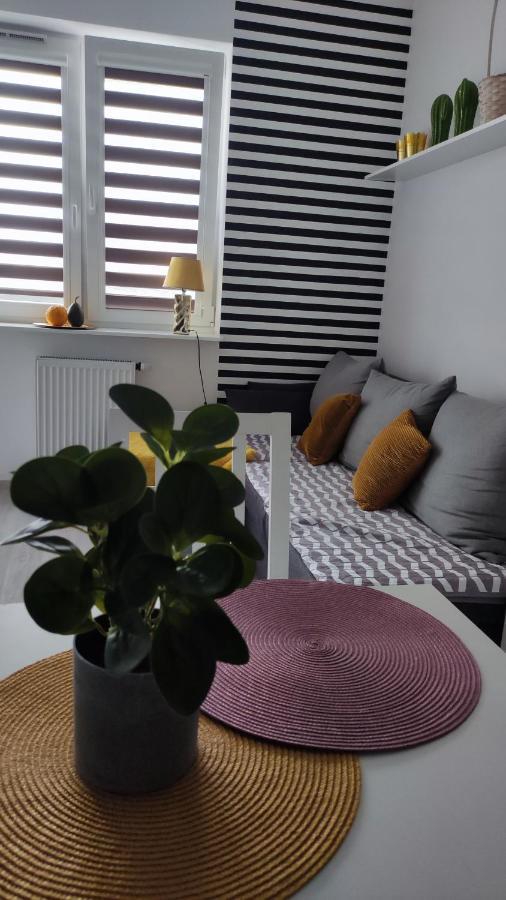 Apartament 60 Płock Exteriör bild
